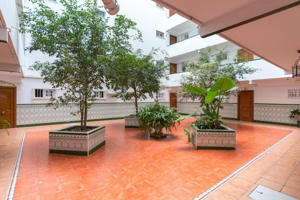 马拉加Apartamento Flamingo公寓 外观 照片